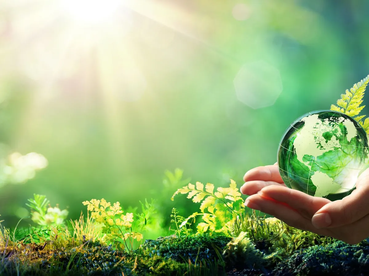 Neue Regeln gegen Greenwashing: Immobilienbranche muss Werbung anpassen