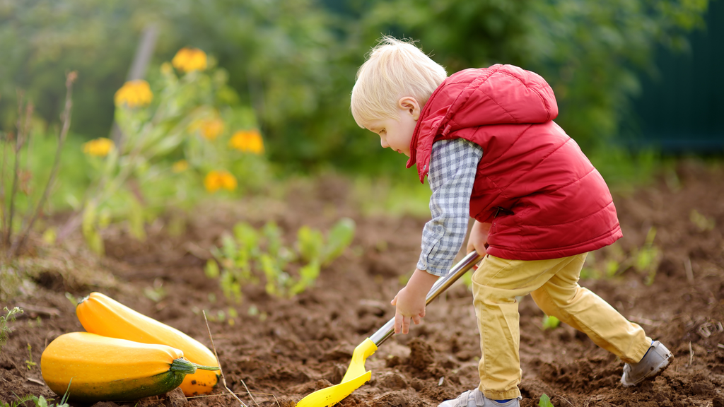 Was ist ein Resthof?