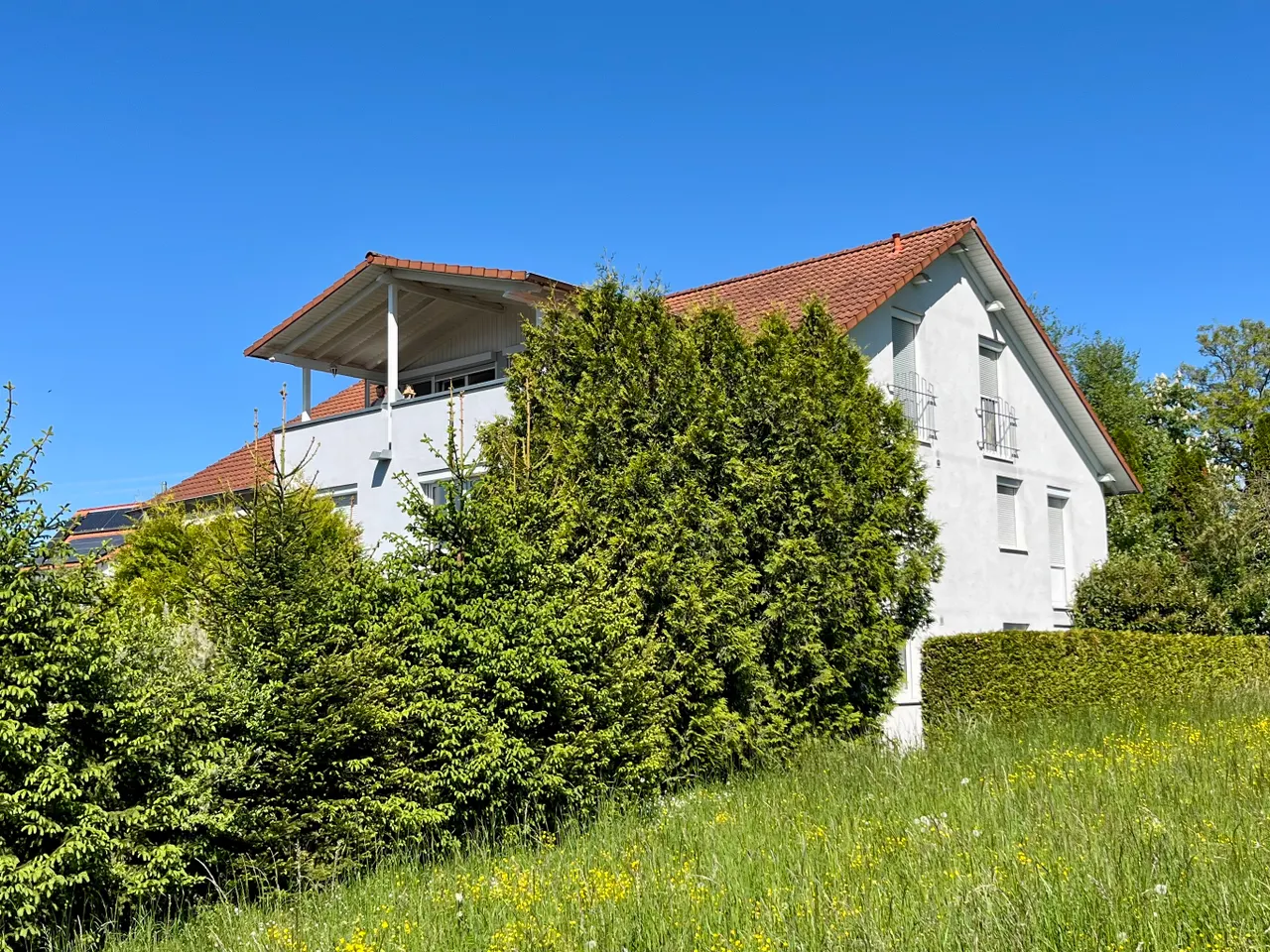 Daniel Zell Immobilien