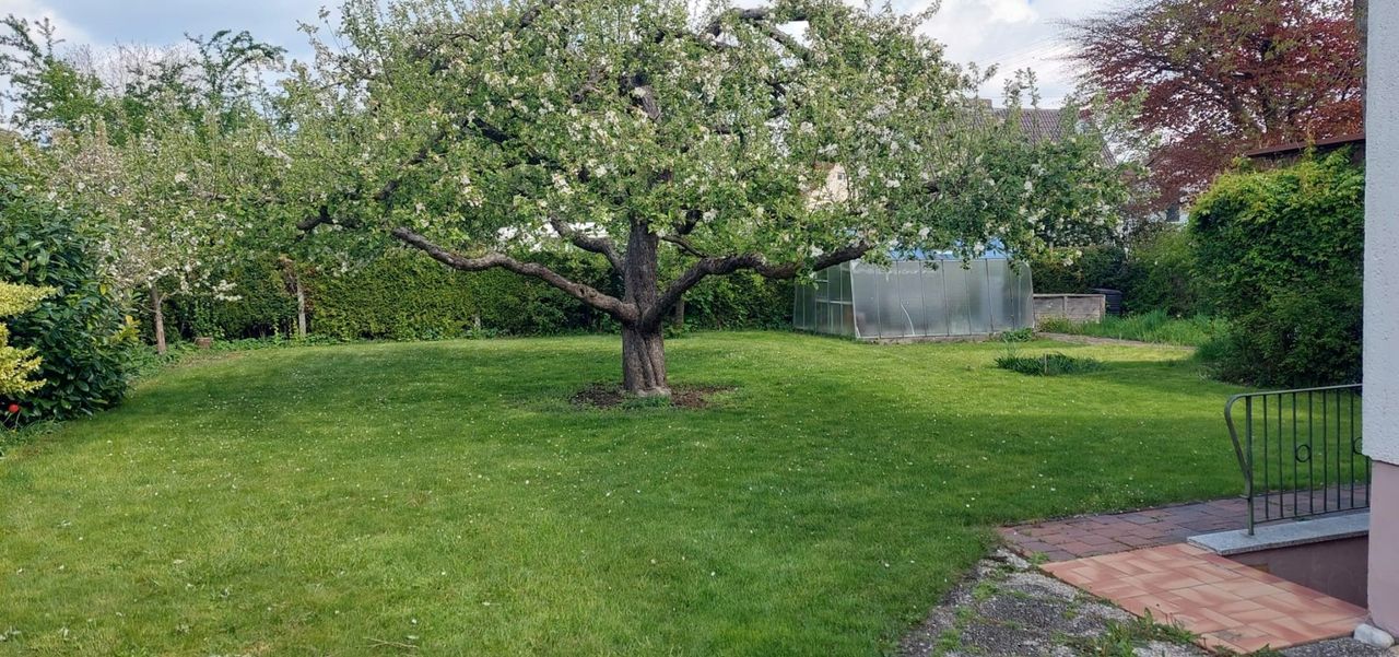 Ansicht Grundstückußen_Garten 2