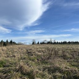 Natur pur!