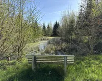 Dritter Teich 