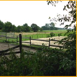 ***Provisionsfrei für Käufer***
z.B. für Pferdeliebhaber