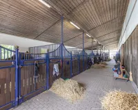 Stalltrakt Reithalle