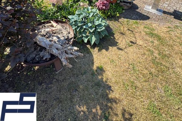 liebevoll angelegter Garten