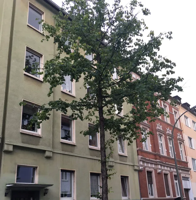 Viel Platz für Familien und Individualisten