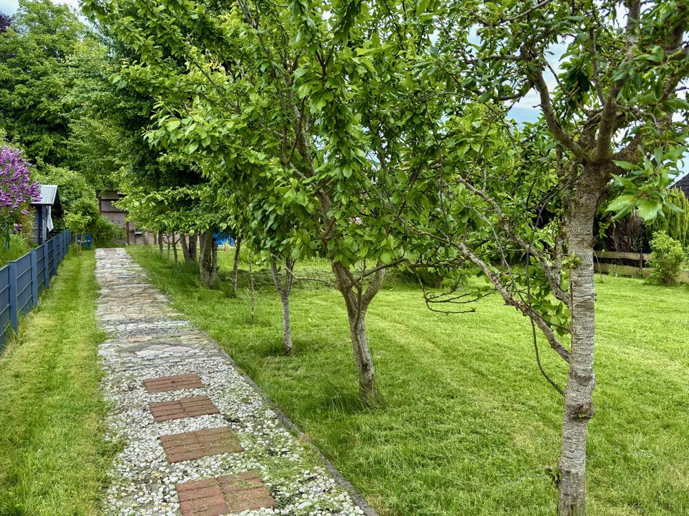 Außenbereich Garten_03