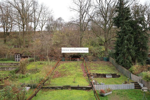 Garten Blick vom Haus.JPG