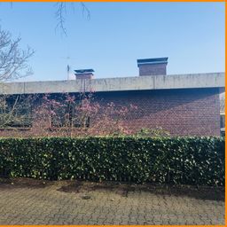 Generationenwohnen oder Wohnen und 
Arbeiten kombinieren