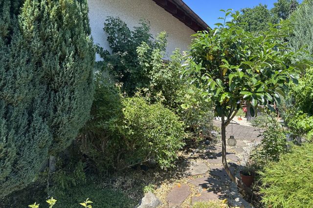 Seitenansicht