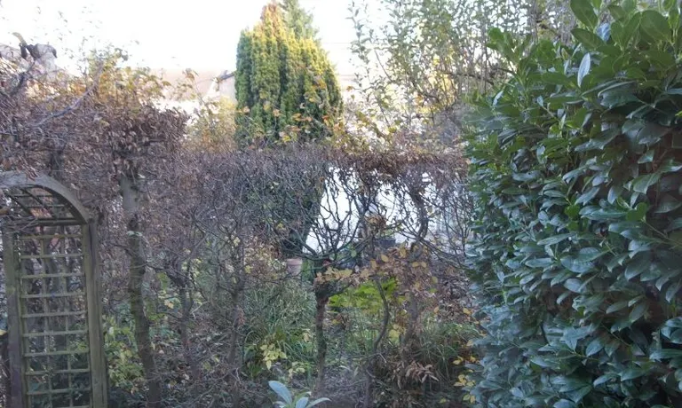 Gartenblick