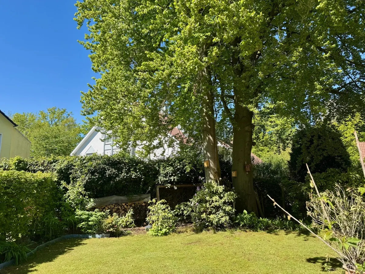Der eigene Garten mit altem Baumbestand