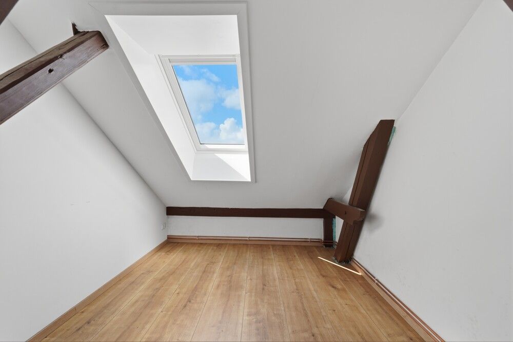 Zimmer DG_7