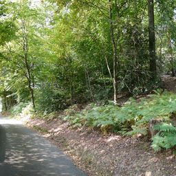 Freiraum und Platz; großes Grundstück in beschaulicher Stadtrandlage