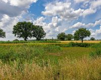 Impressionen