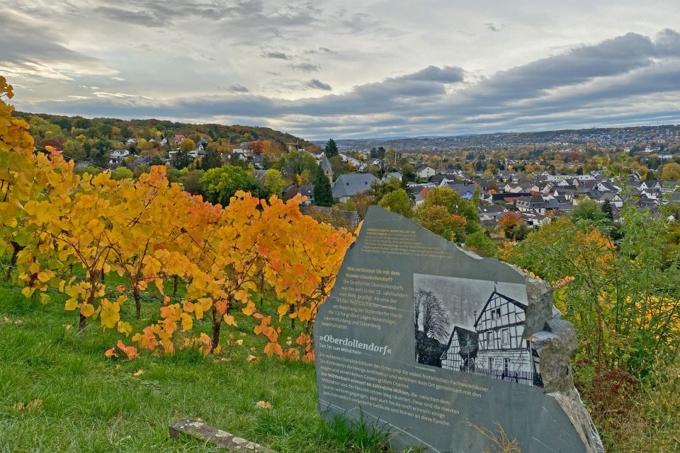 Weinberge in Königswinter-Oberdollendorf