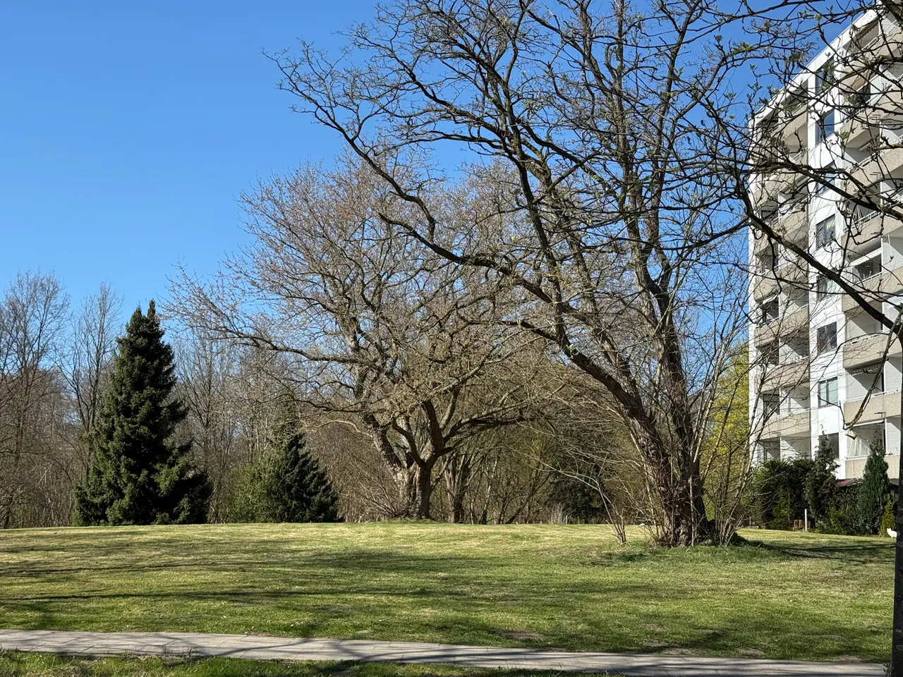 Gepflegte Grünanlage