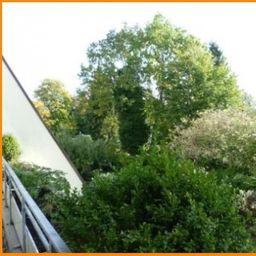 helle ETW in Beckum Stadtmitte.