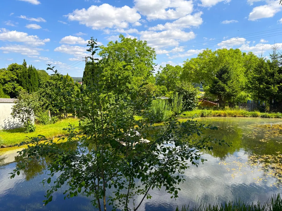 Schwimmteich/Fischwasser