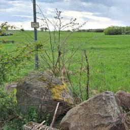 Freiliegendes Grundstück in Ortrandlage bietet Ihnen vielfältige Möglichkeiten der Bebauung!