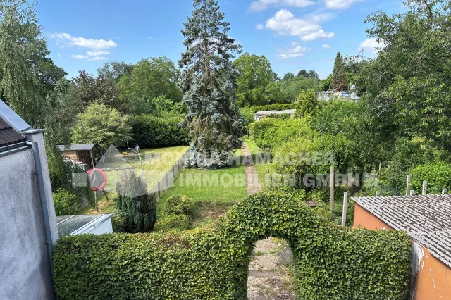 Blick in den Garten