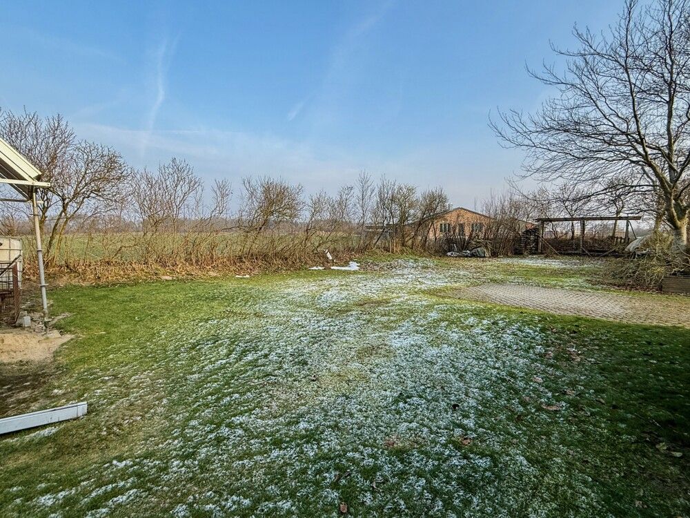 Außenaufnahme Garten