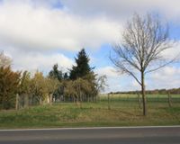 Gartenansicht