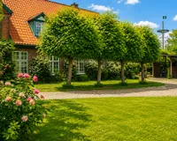 Baumreihe