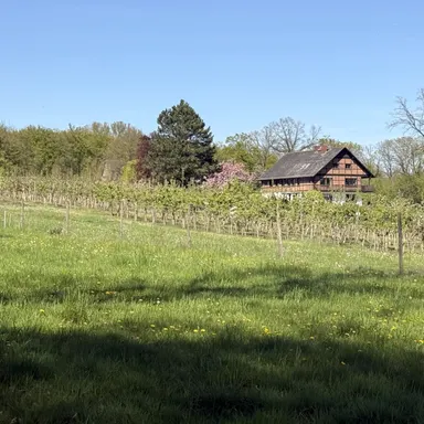 10 ha Paradies – Landhaus in traumhafter Alleinlage zu verkaufen