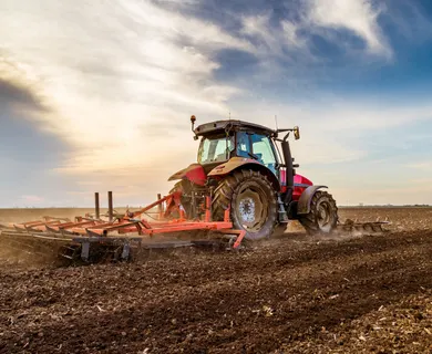 20,7 ha Ackerland zu verkaufen