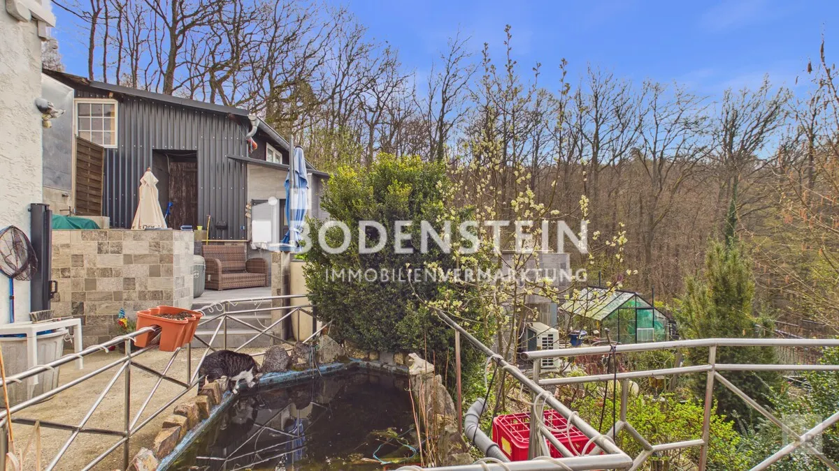 Blickrichtung Pool - Garten mit Gartenteich