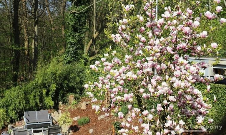 Ausblick in den Garten