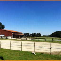 VERKAUFT – Wohnen und Leben mit Pferden (Tieren)