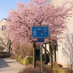 Rendite Hammer ! Anlage nähe ALLIANZ Arena