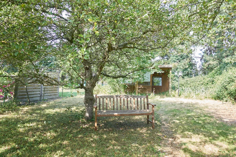 Schöner Garten