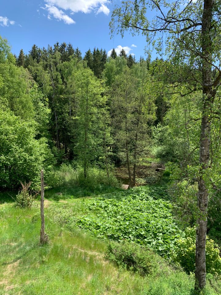 Blick aus dem Erker 1. Stock