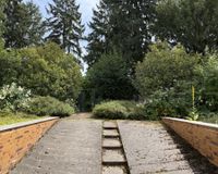 ...zum Garten
