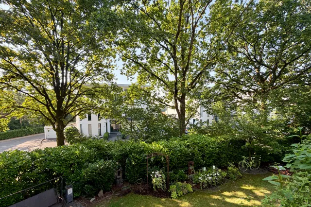 grüne Aussicht vom Balkon