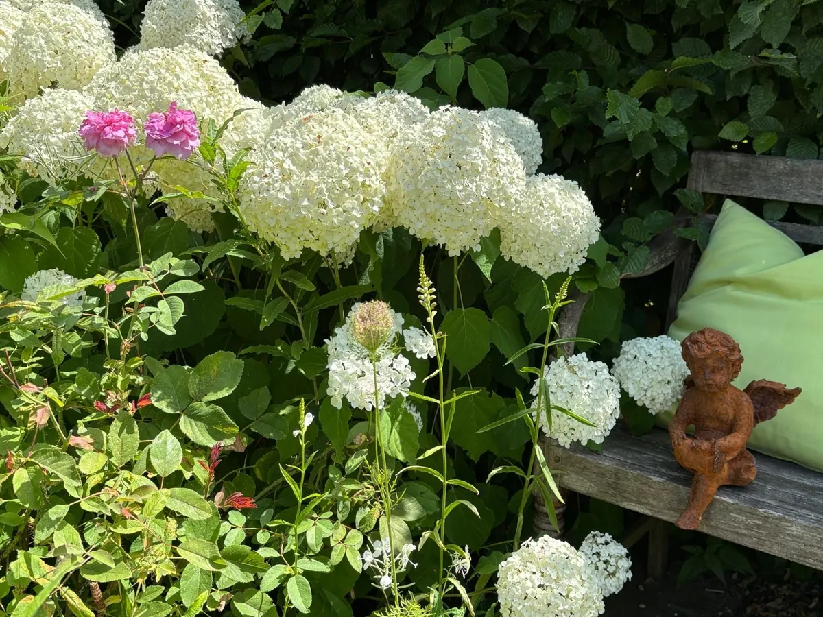 Idyllische Plätze im Garten