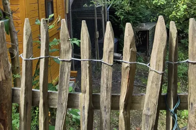 Hier darf gegackert werden