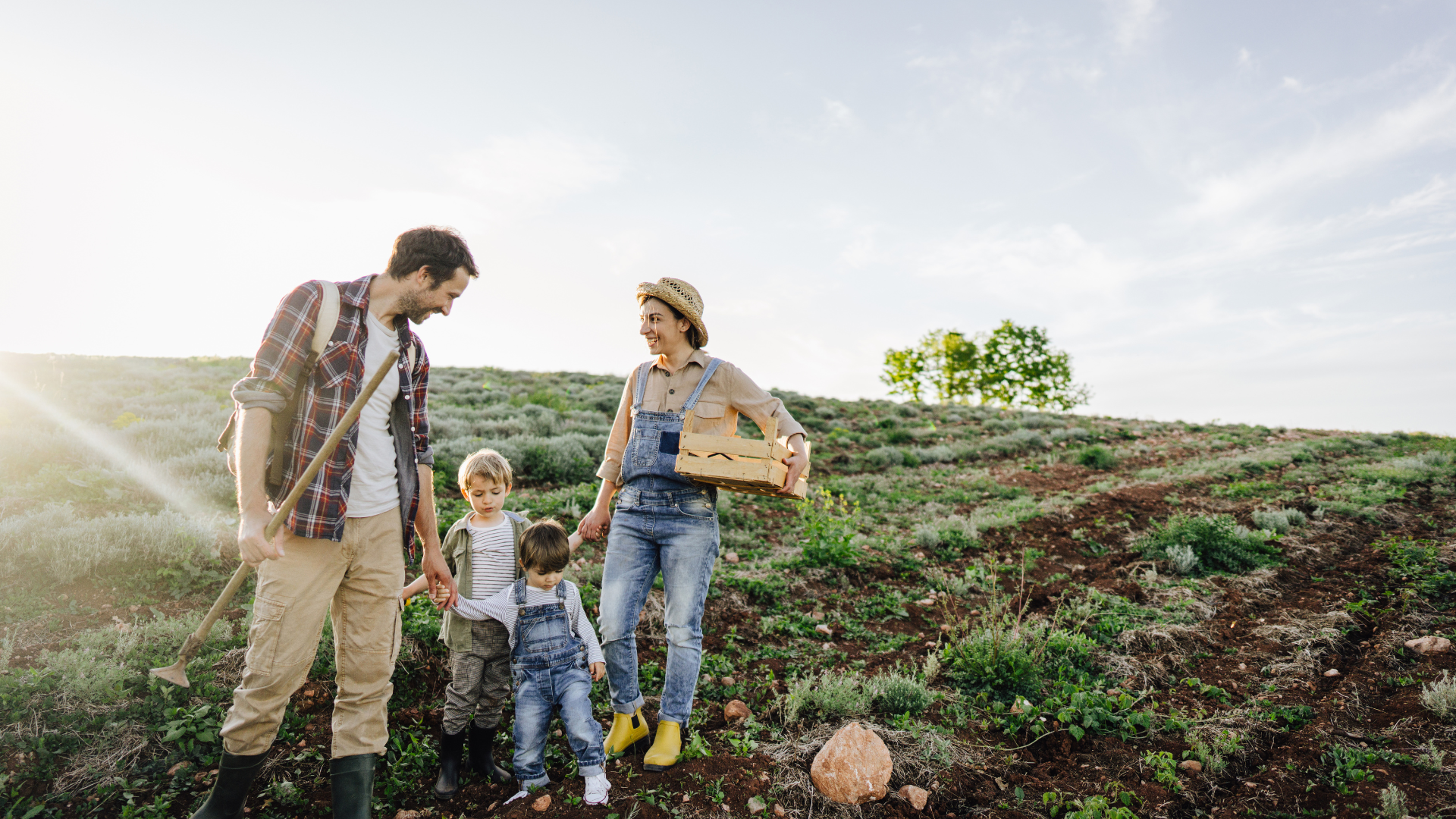 Landimmo24 Immobilienmakler Land und Forst