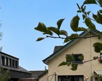 Gartenansicht