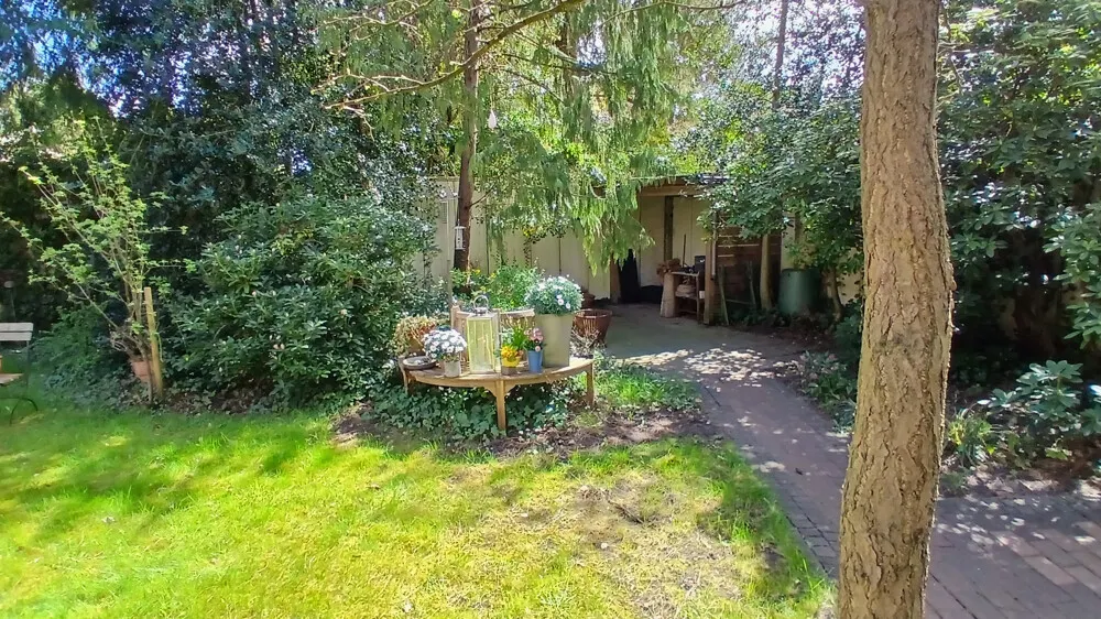 Garten, Bild 1 vom Hinterhaus