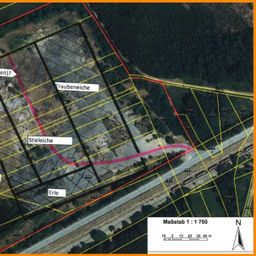 5,6 ha Wald mit 1.200 € Pacht p.a