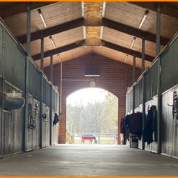 Ein Paradies für Pferdezüchter – Gestüt in Alleinlage