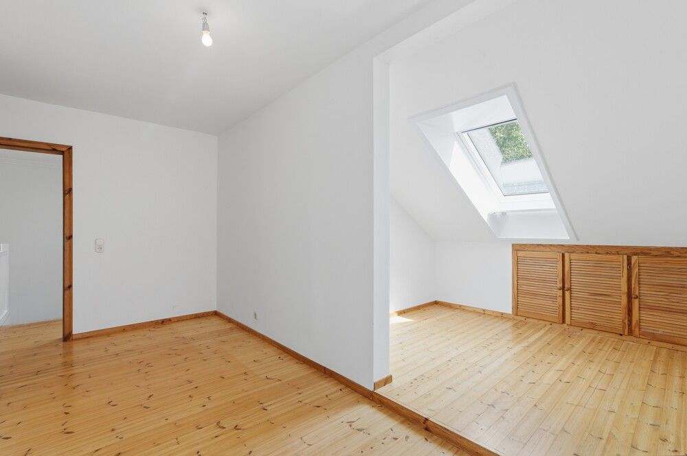 Zimmer DG_7