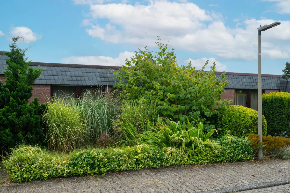 Vorgarten/ Eingangsbereich