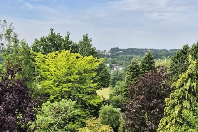 Ein toller Blick hinaus