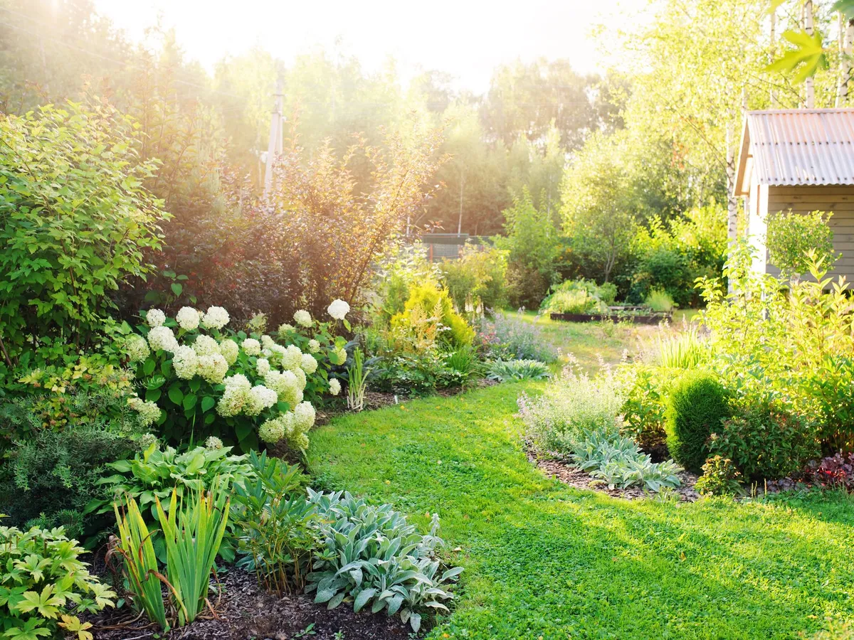 Ready for heat and drought: 10 tips for a climate-resilient garden