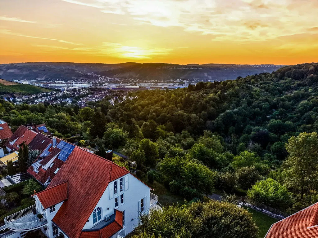 Blick